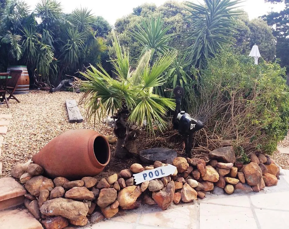 Villa Surprise Guesthouse Cape Town South Africa