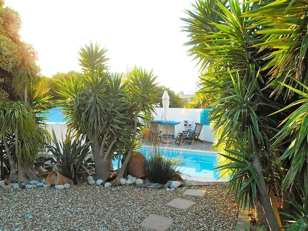 Villa Surprise Guesthouse Cape Town Guest house