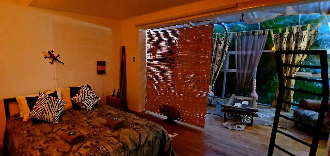 **** Guest house Villa Surprise Guesthouse Cape Town South Africa